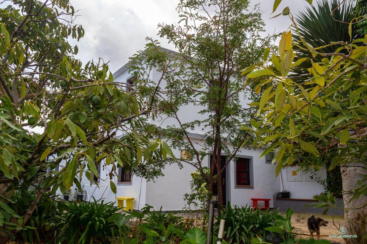 Appartamento Bodega Goyo Puntallana Esterno foto