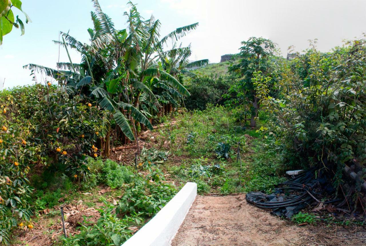 Appartamento Bodega Goyo Puntallana Esterno foto