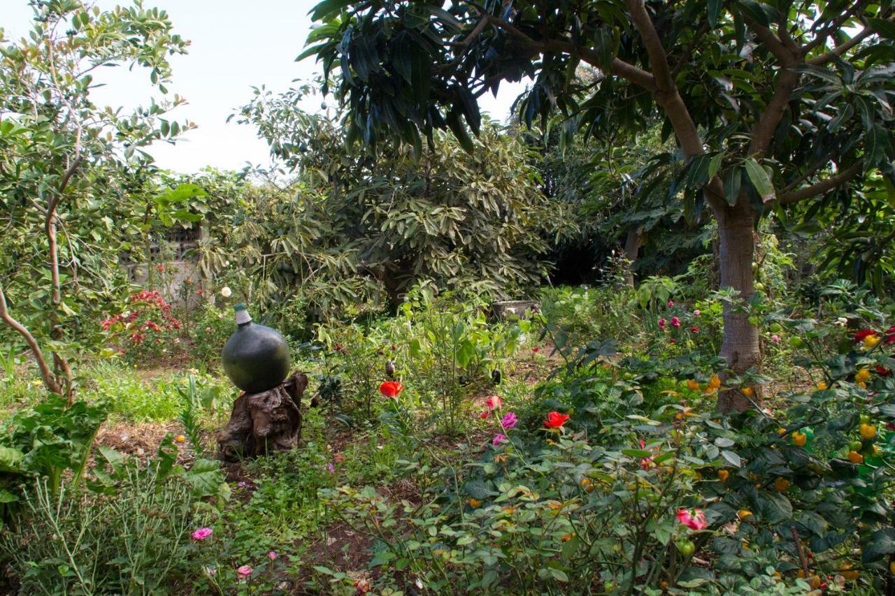 Appartamento Bodega Goyo Puntallana Esterno foto